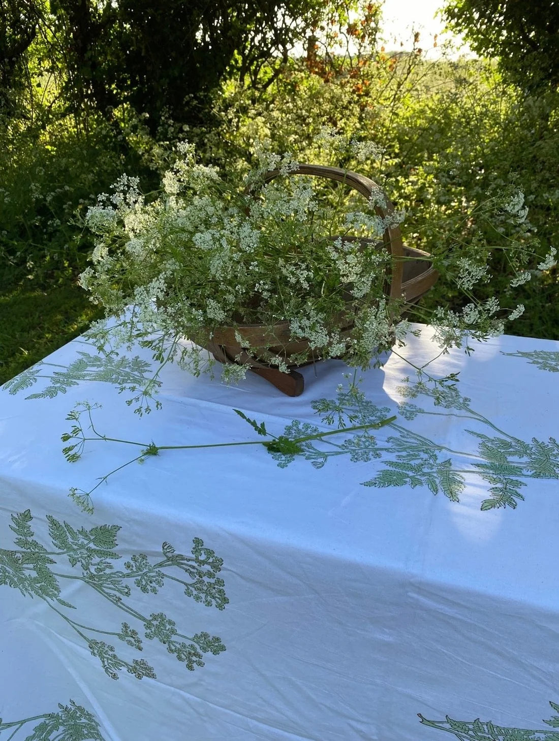 Sage Cow Parsley Tablecloth