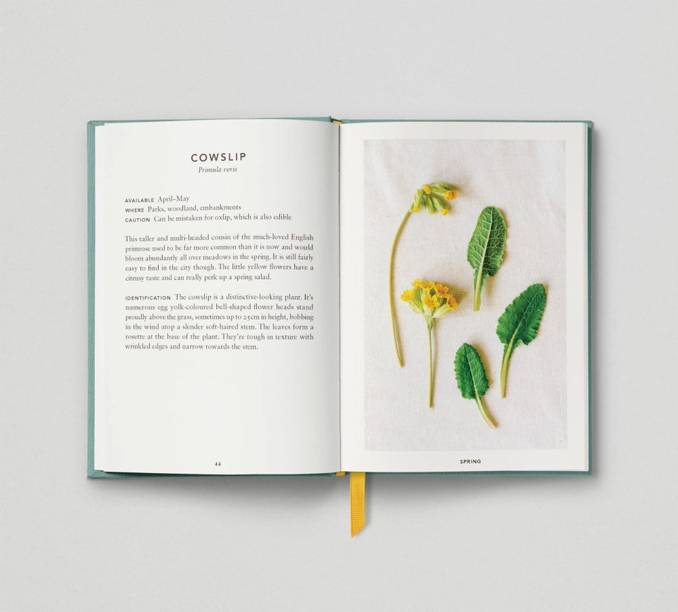 The Urban Forager