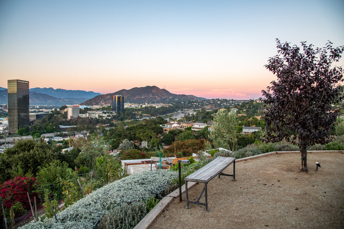 Studio City — 28